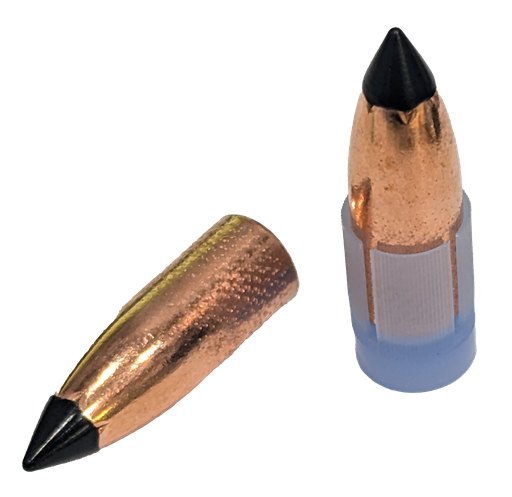 .45 Caliber - 250 Grain Star Tip 2P & Sabots(20 pcs)